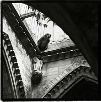 Art & Creativity: Notre-Dame de Reims by Gérard Rondeau.