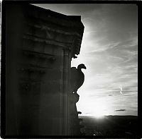 Art & Creativity: Notre-Dame de Reims by Gérard Rondeau.