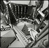 Art & Creativity: Notre-Dame de Reims by Gérard Rondeau.