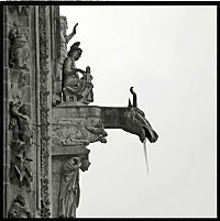 Art & Creativity: Notre-Dame de Reims by Gérard Rondeau.