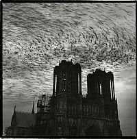 Art & Creativity: Notre-Dame de Reims by Gérard Rondeau.