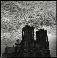 TopRq.com search results: Notre-Dame de Reims by Gérard Rondeau.