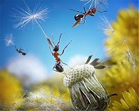 Art & Creativity: Ant Stories by Andrey Pavlov