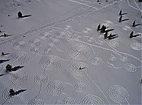 Art & Creativity: snow drawings