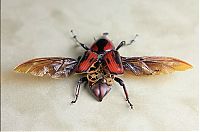 Art & Creativity: steampunk insect