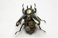 Art & Creativity: steampunk insect