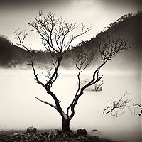 TopRq.com search results: Black and white photography by Hengki Koentjoro