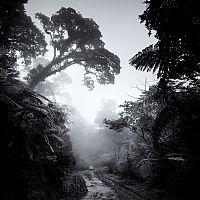 Art & Creativity: Black and white photography by Hengki Koentjoro