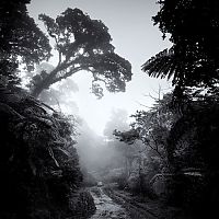 TopRq.com search results: Black and white photography by Hengki Koentjoro