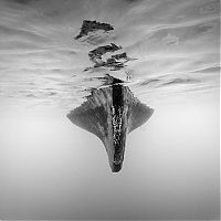 TopRq.com search results: Black and white photography by Hengki Koentjoro