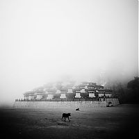 Art & Creativity: Black and white photography by Hengki Koentjoro