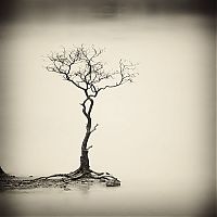 Black and white photography by Hengki Koentjoro