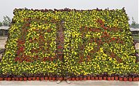 TopRq.com search results: Liu Bolin, The Invisible Man, Hiding in the City series