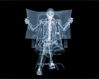 TopRq.com search results: X-ray images by Nick Veasey