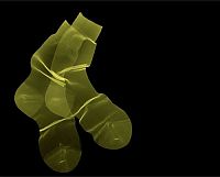 TopRq.com search results: X-ray images by Nick Veasey