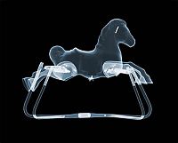 TopRq.com search results: X-ray images by Nick Veasey