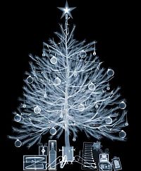 Art & Creativity: X-ray images by Nick Veasey