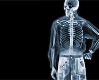 Art & Creativity: X-ray images by Nick Veasey