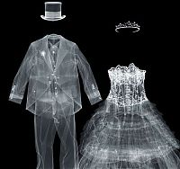 TopRq.com search results: X-ray images by Nick Veasey