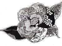 TopRq.com search results: Paper cut art by Hina Aoyama