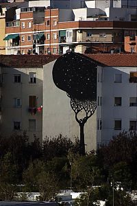 Art & Creativity: street art graffiti murals