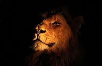 Art & Creativity: National Geographic Photo Contest 2012