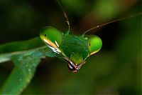 Art & Creativity: National Geographic Photo Contest 2012