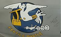 TopRq.com search results: nose art painting of a military aircraft