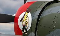 TopRq.com search results: nose art painting of a military aircraft