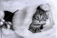 TopRq.com search results: Pencil drawing by Rajacenna