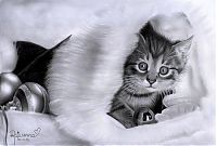 Art & Creativity: Pencil drawing by Rajacenna