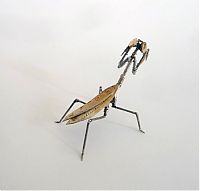 Art & Creativity: steampunk insect