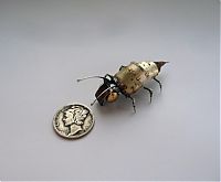 Art & Creativity: steampunk insect