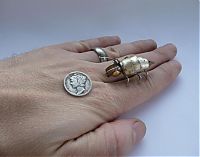 TopRq.com search results: steampunk insect