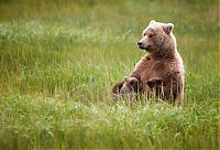 Art & Creativity: National Geographic Photo Contest 2012