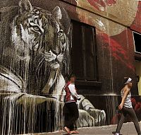 Art & Creativity: street art graffiti murals