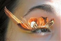 Art & Creativity: eye makeup detail