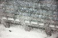 TopRq.com search results: Street photography by Christophe Jacrot