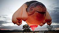 TopRq.com search results: Skywhale hot-air balloon sculpture by Patricia Piccinini