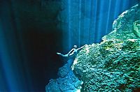 TopRq.com search results: One Ocean One Breath freediving collaboration by Eusebio And Christina Saenz De Santamaria