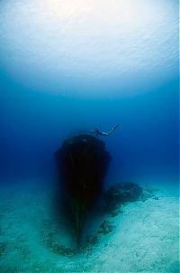 Art & Creativity: One Ocean One Breath freediving collaboration by Eusebio And Christina Saenz De Santamaria