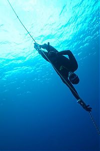 Art & Creativity: One Ocean One Breath freediving collaboration by Eusebio And Christina Saenz De Santamaria