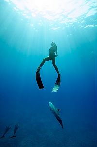 TopRq.com search results: One Ocean One Breath freediving collaboration by Eusebio And Christina Saenz De Santamaria