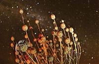 TopRq.com search results: National Geographic traveler photo contest 2013