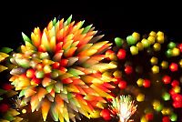 Art & Creativity: Long exposure fireworks by David Johnson