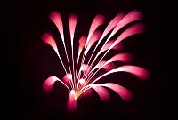 TopRq.com search results: Long exposure fireworks by David Johnson