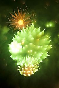 Art & Creativity: Long exposure fireworks by David Johnson