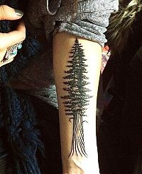 TopRq.com search results: nature tattoo