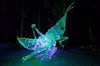 Art & Creativity: World Ice Art Championships 2013, Fairbanks, Alaska