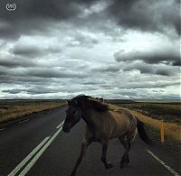 Art & Creativity: iPhone Photography Awards 2013 winners